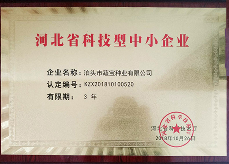 資質(zhì)榮譽(yù)