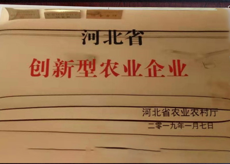 資質(zhì)榮譽(yù)
