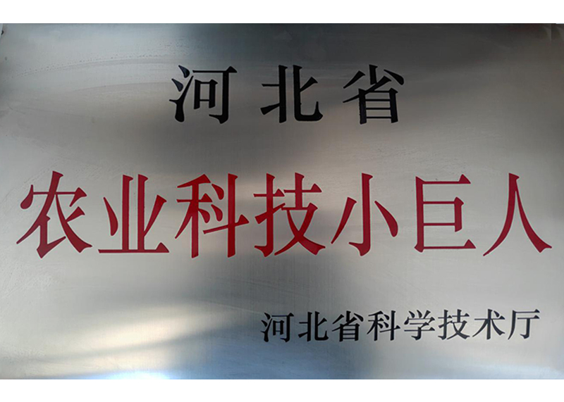 資質(zhì)榮譽(yù)